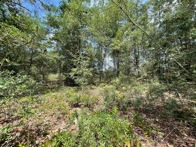 6A6228E3-58B9-4E3A-869C-0D26E2FB6246