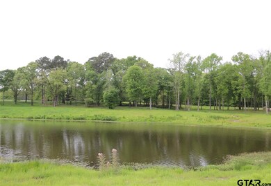 15791 County Road 285, Tyler, TX 75707 - photo 5