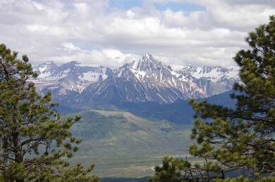 Spruce Mt 1474