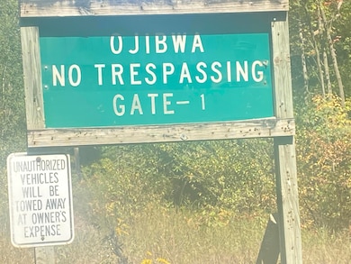 7813/7831 Wilderness Dr, Weidman, MI 48893 - photo 3