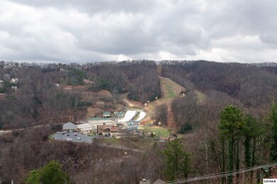 Additional View 5