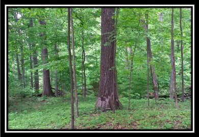 image016