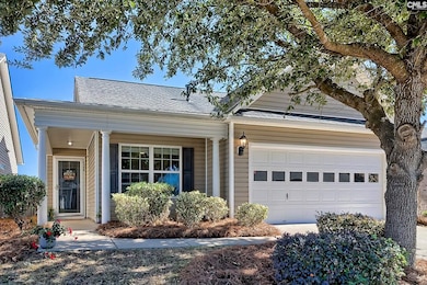 524 Gilden Hawke Way, Columbia, SC 29229 - photo 2