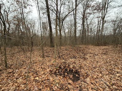 TBD1 E Willow Rd, Jackson Township, IN 47424 - photo 2