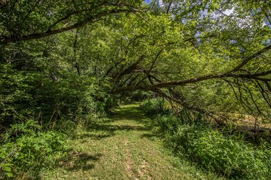 IMG_5275