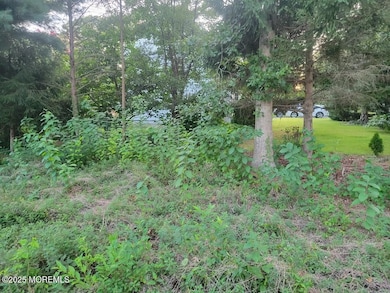 716 Commonwealth Blvd, Toms River, NJ 08757 - photo 3