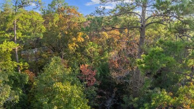 168 Delea Ln, Brookeland, TX 75931 - photo 4