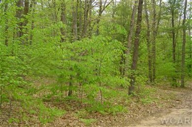 0 N Felch Ave unit 12029443, Sherman Township - Newaygo, MI 49349 - photo 3