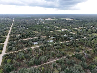 0 NE 62nd St unit MFRTB8436970, Williston, FL 32696 - photo 5