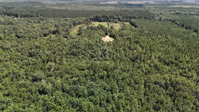 Shady Grove Road Lot unit Wp001, Saline, LA 71070 - photo 7