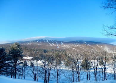 Lot 48 Partridge Rd, Ludlow, VT 05149 - photo 3