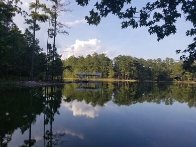 1037 Fleming Lake Ct, Lincolnton, GA 30817 - photo 7