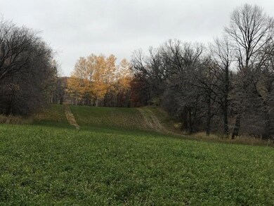 XXX Loken Ln SW, Alexandria, MN 56308 - photo 3