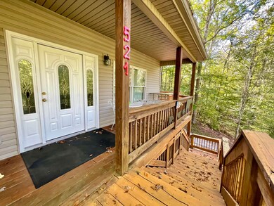 521 Harmony Ln, Burnside, KY 42519 - photo 6
