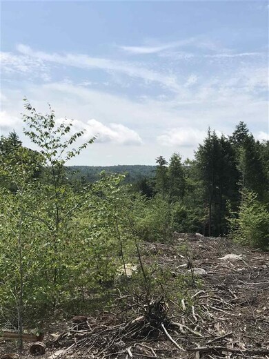 Map 11 Lot 64-1&2 & Lot 66 Roller Coaster Rd, Strafford, NH 03884 - photo 6