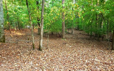 Additional View