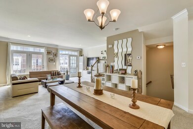 23353 Willisville Woods Square, Ashburn, VA 20148 - photo 5