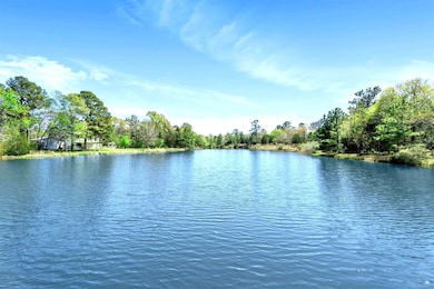 0 Squirrel Dr unit 75090496, Hempstead, TX 77445 - photo 6