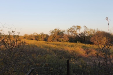 818 195 Cr-163, Winters, TX 78634 - photo 3