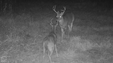 0 Rainbow Valley Trail unit 10124467, Mammoth Spring, AR 72554 - photo 7