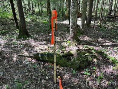 Parcel A Webb Rd, Burt Township, MI 49839 - photo 7