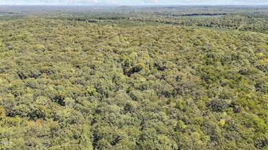 13 acres in Efland 5