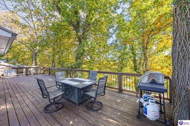 646 Rough River Resort Rd, McDaniels, KY 40152 - photo 4