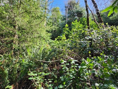 0 Jefferson St unit Lot 1&6 391642538, Port Orford, OR 97465 - photo 7