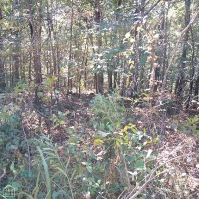 0 County Road 797, Powell Township, AR 72417 - photo 3