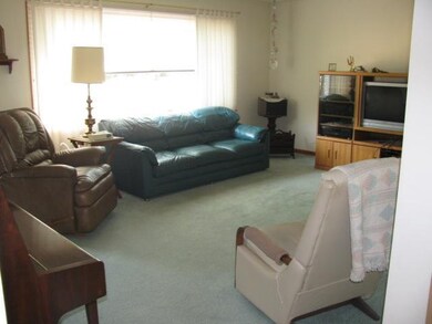 1041 Aster St, Wayland, MI 49348 - photo 6