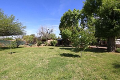 Front Yard2