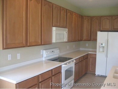 9608 Jasmine Brook Cir, Land O Lakes, FL 34638 - photo 6