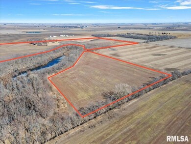 13505 W Long Point Rd, Niantic Township, IL 62551 - photo 5