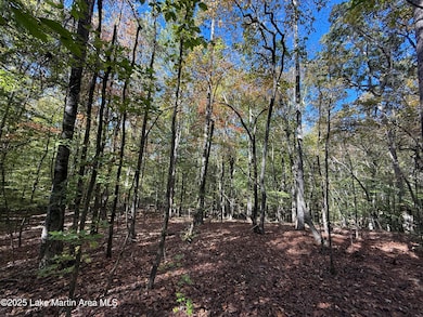 Lot 8 S Fern Ridge, Dadeville, AL 36853 - photo 3