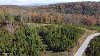 2025-11-07-13-56-13-216