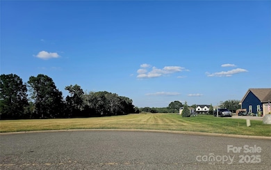 1204 Dublin Ct, China Grove, NC 28023 - photo 3