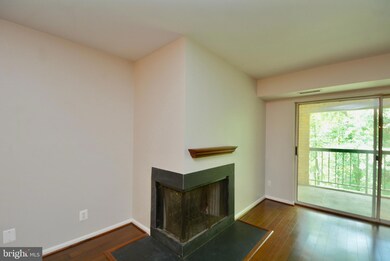 5833 Cove Landing Rd unit 303, Burke, VA 22015 - photo 7