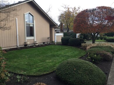 Front Yard