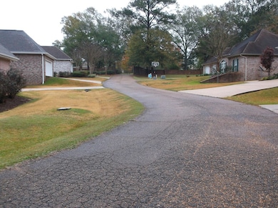 TBD Pointe Dr, Summit, MS 39666 - photo 7