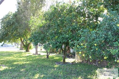 816 North Dr, Donna, TX 78537 - photo 5