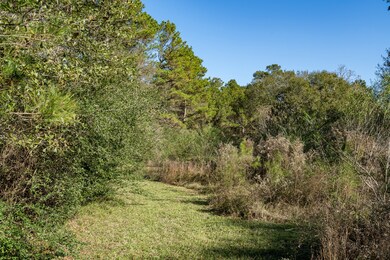 1011 Hunters Creek Way, Hockley, TX 77447 - photo 2
