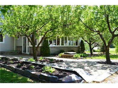 Yard/Garden. Awesome Fruit Trees and Professionall