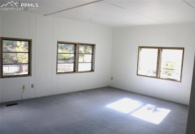 8320 Piute Rd, Colorado Springs, CO 80926 - photo 7