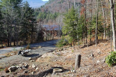 Lot view