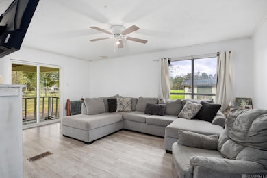 16481 Kinchen Rd, French Settlement, LA 70733 - photo 7