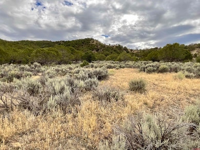 TBD Lot 22 7250 Rd, Montrose, CO 81403 - photo 4