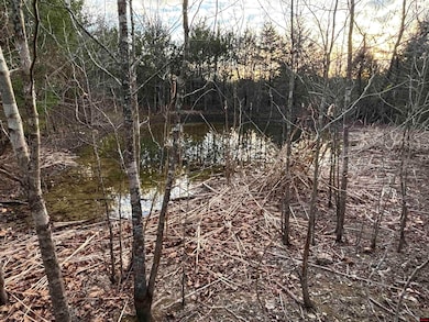 790-00918-000 Marion County 8057, Yellville, AR 72687 - photo 6