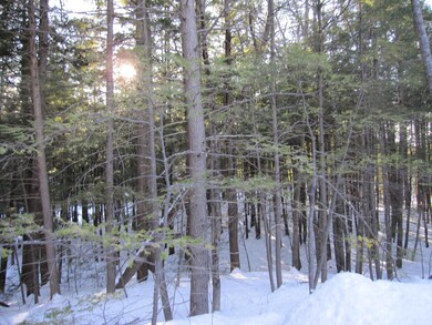 58 Island Rd, Limerick, ME 04048 - photo 4