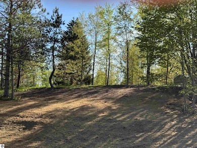 1007 E Solaris Way, Maple City, MI 49664 - photo 4