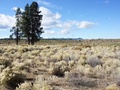 61557 Hardin Martin Ct, Bend, OR 97702 - photo 5